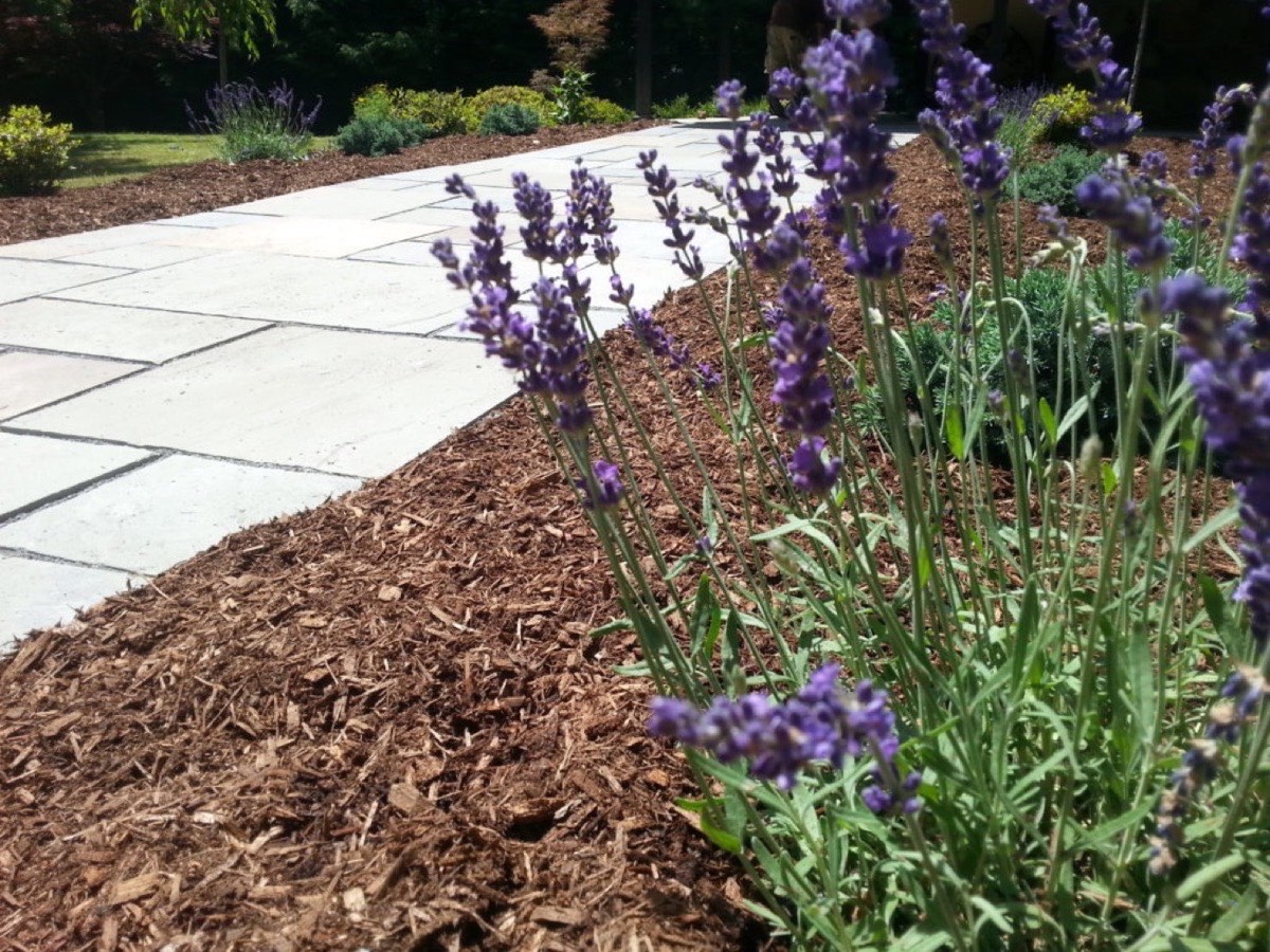 Local Landscaping Company New Paltz NY Techmer Nursery Blue Stone Walkway, Shrubs, Flowers
