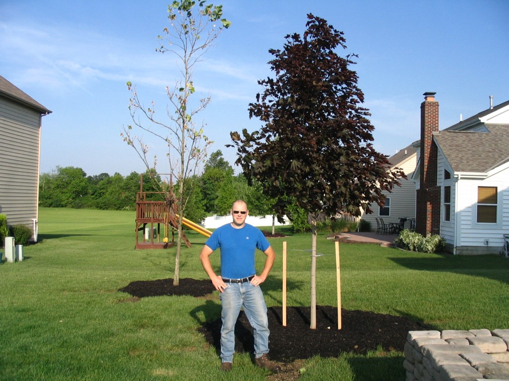 Landscape Contractor, Landscaping Company