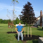 Landscape Contractor, Landscaping Company
