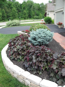 Globe Blue Spruce and Palace Purple Coral Bell installed by Techmer Nursery