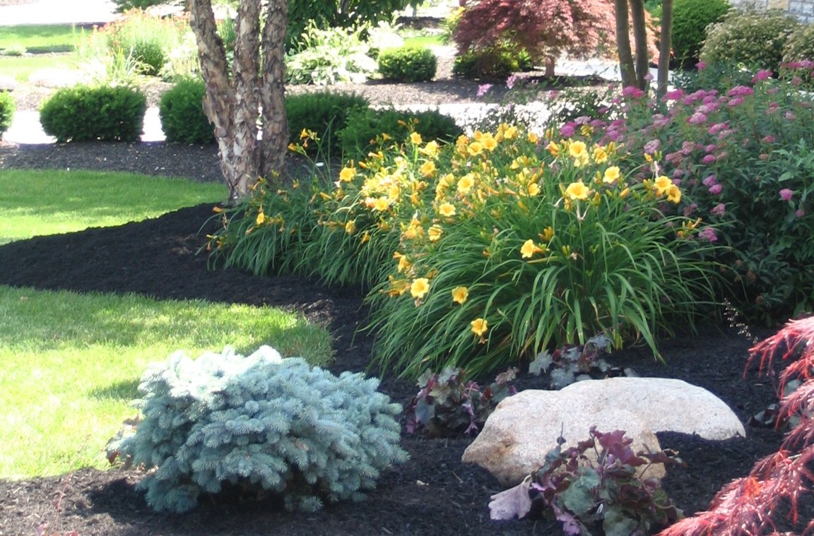 Front yard landscaping with flowering perennials